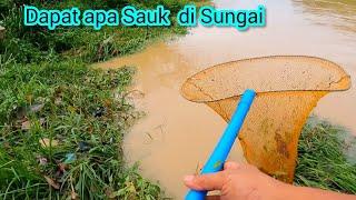 Sauk Anak ikan Bandaraya di Sungai Langat #gengdunia #pleco