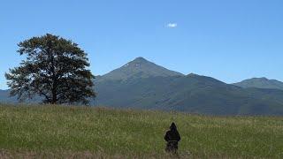 SULLE TRACCE DI SAN COLOMBANO - I monaci di S. Colombano a Fanano (Mo)