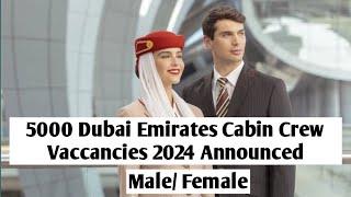 Emirate Cabin Crew Jobs 2024 - How to Apply Emirate Cabin Crew Jobs 2024 - Sanam Dilshad