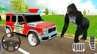 In Forest Mahindra Jeep Driving 3D - Offroad SUV Driving | US Jeep Simulator Android Gameplay HD