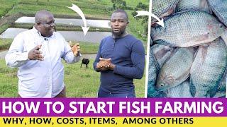 How To Start FISH Farming and Earn Millions In 8 Months