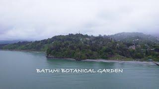  Batumi Botanical Garden | Georgia