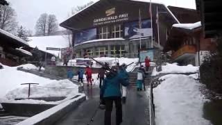 Grindelwald Ski Resort Guide