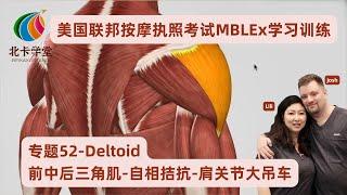 【联邦按摩考试】专题52-Deltoid-前中后三角肌-自相拮抗-肩关节大吊车-易损伤【北卡学堂—MBLEx美国按摩治疗师执照考试学习训练】加拿大RMT注册按摩治疗师考试/MCQ/OSCE