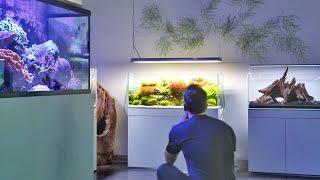 World Class Aquarium and Aquascape Store - Aquarium Design Group Tour