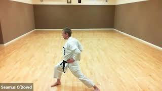 Seamus O'Dowd Sensei - Online Seminar