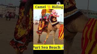 Camel  Riding on Puri Sea beach ️#shorts #viralshorts #puriseabeach .