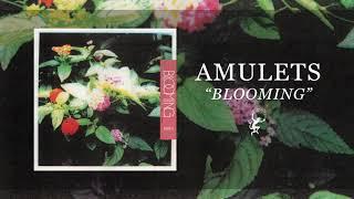 AMULETS - BLOOMING