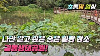 나만 알고 싶은 숨은 힐링 장소 #길동생태공원#서울산책로