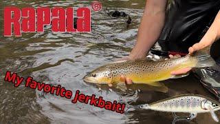 Rapala Countdown Elite SHOWCASE! | Jerkbait fishing for WILD trout! |