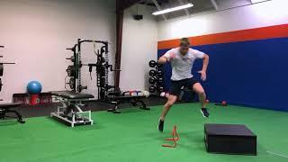 Lateral Hurdle Hop to Heiden w/Box Landing