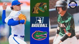 Florida A&M vs #2 Florida | Gainesville Regional Opening Round | 2023 College Baseball Highlights