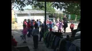 Джанкой в объективе: Об одуванчиках и не только о них