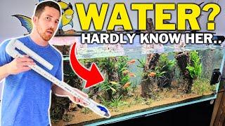 Do This If You HATE Changing Your Fish Tank Water...