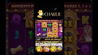 Очень большой занос в собаках на CHARLIE #заносынедели