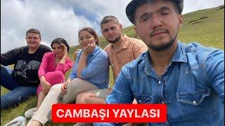 CAMBAŞI YAYLASI  AKSİYON DOLU ANLAR