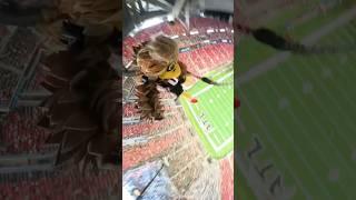 Highest Rope Swing Drop  (@atlantafalcons)