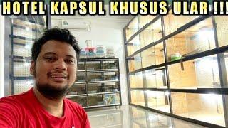 HOTEL KAPSUL KHUSUS ULAR UDAH JADI | PARA ULAR PINDAH KANDANG