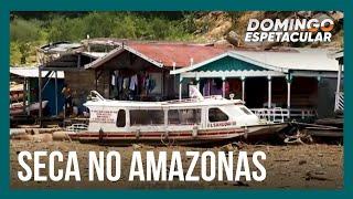 Cidades do Amazonas sofrem as consequências de seca fora do comum