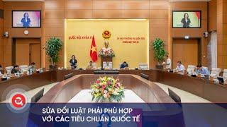 Sửa đổi luật phải phù hợp với các tiêu chuẩn quốc tế | Truyền hình Quốc hội Việt Nam