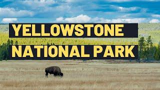 Yellowstone National Park Now | Exploring the Wonders of Yellowstone National Park for Kids