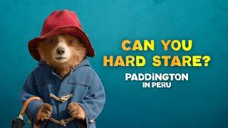 PADDINGTON IN PERU - Hard Stare 101