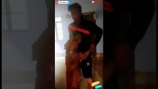 AGGRESSIVE  PITBULLDOG PLAYING WITH OWNER#pitbull#viral#shorts#short#youtubeshorts#trending #like