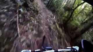 Supple Jack - MTB Trail