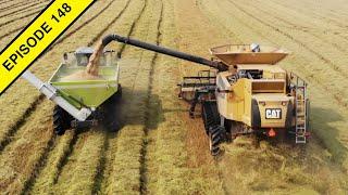 2020 California, USA Rice Harvest! | Tractor Video