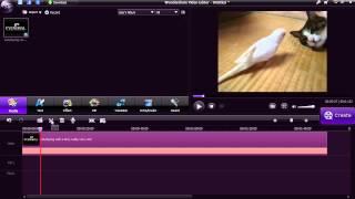 Using Wondershare Video Editor