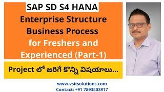 SAP SD S4 HANA Enterprise Structure - Part 1 | SAP SD in Telugu | SAP SD S4 HANA Training by Veera