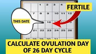 how to Calculate OVULATION DAYS  for 26 Day Cycle