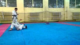 Hapkido panch, throw, kick 2013.01.11 Pshenichnikov