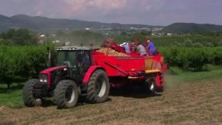 7580RB40-45 Scavaraccoglipatate - Potato harvester - IMAC Rondelli