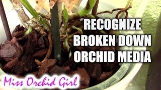 How to recognize broken down orchid media