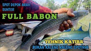 LANGSUNG TEST !! CARA MANCING IKAN BELANAK BABON TEHNIK KATIR