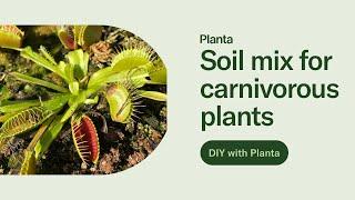 How to mix carnivorous plant soil