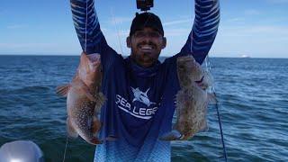 double trouble south of the tampa bay shipping channel. agressive groupers close october fishing