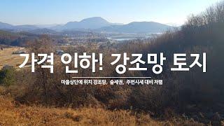 [가격인하]양평토지 매매 산자락 강조망 주변시세대비 저렴한 토지 전원주택지 급매물전문 양평시대 14063[강상면]