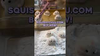 SCARIEST Squishy Taba Hamster...  SQUISHYCHUU.COM