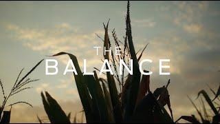 The Balance – Soil Health & Habitat