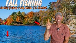 Mastering Fall Bass Fishing: Unlocking the Secrets of the 3 Stages!