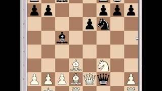 Alexander Morozevich Vs. Loek van Wely, 2002