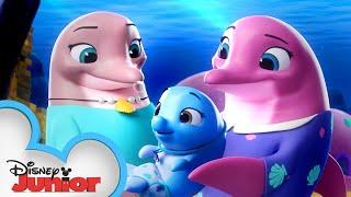 Pip and Freddy's Ocean Adventure  | T.O.T.S. | Disney Junior