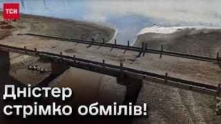 Дністер невпинно втрачає воду! Чому і як це впливає на екосистему?