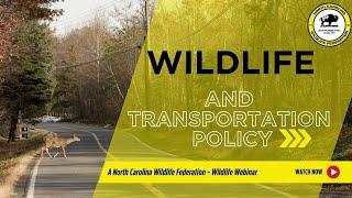 Connecting Wildlife to North Carolina Transportation Policy - North Carolina Wildlife Federation