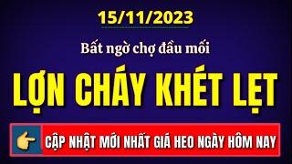 Giá heo hơi ngày hôm nay 15/11/2023 || Bất ngờ chợ đầu mối miền Bắc cháy lợn