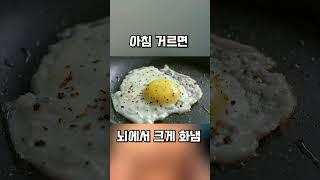 엄청 쉬운 직장인 다이어트 식단(난이도 하)  #다이어트 #헬스 #직장인다이어트 #패션근육 #식단 #피트니스 #직장인운동