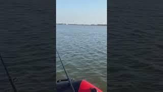 КТО УЗНАЛ ВОДОЁМ? #shorts #fishing #nature #рыбалка #fish #эдвардкосичка #отдых #природа #рыба