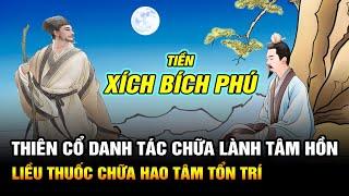 Chữa Lành Tâm Hồn Cùng Thiên Cổ Danh Tác Tiền Xích Bích Phú | Liều Thuốc Tinh Thần Hao Tổn Tâm Trí